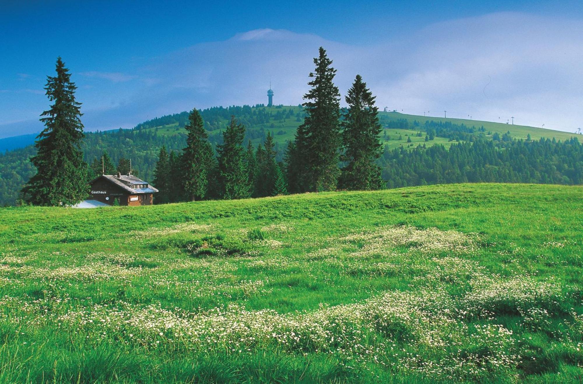 Hotel Charlott Eisenbach  Dış mekan fotoğraf
